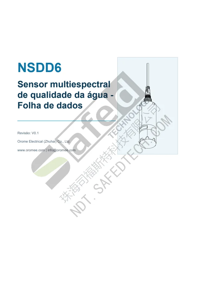 nsdd6-spec-pt PDF 第 1 页预览